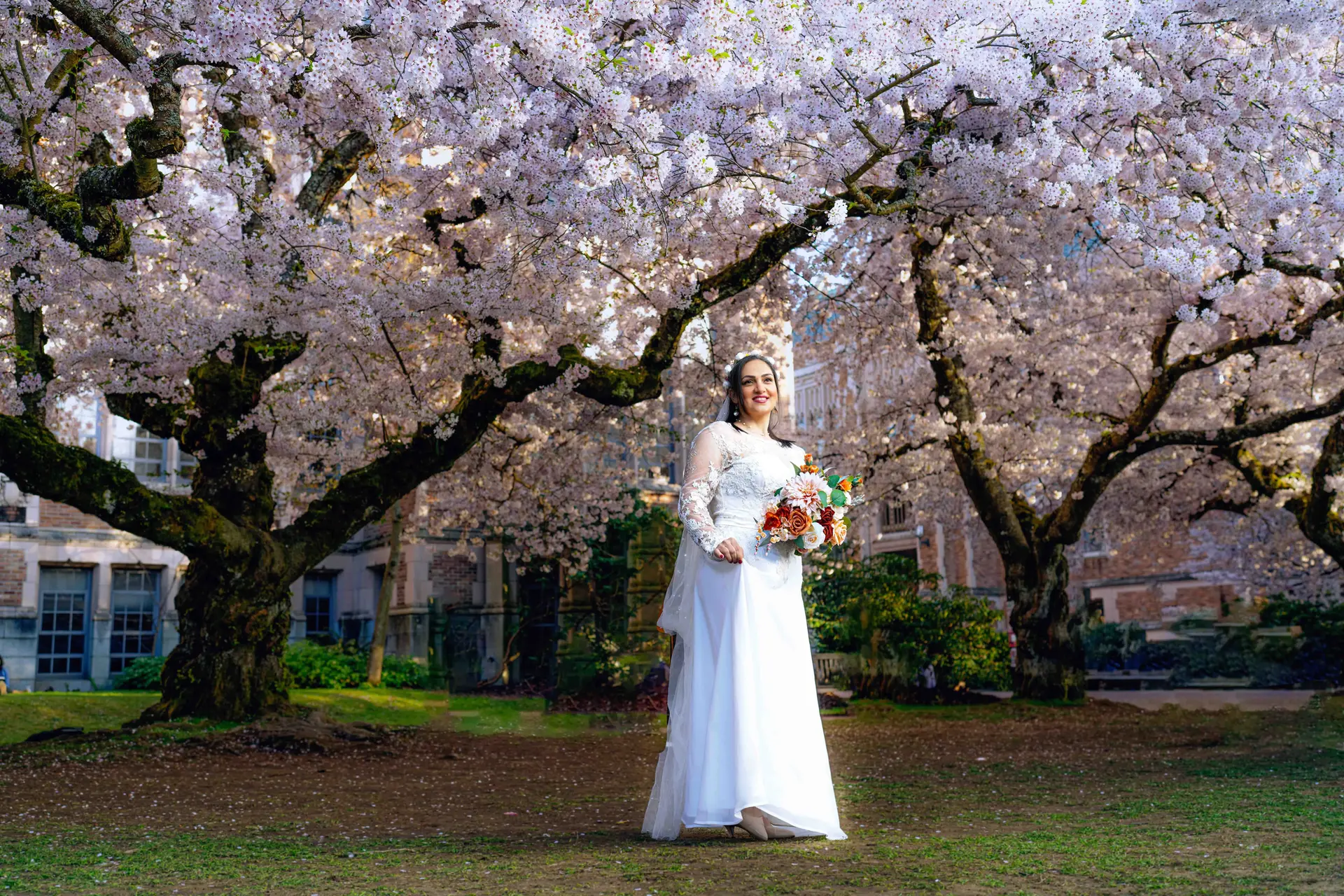 Bride in white gown under blossoming cherry trees