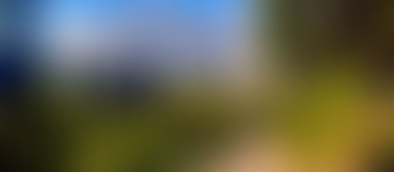 Best Mt. Rainier Elopement Locations