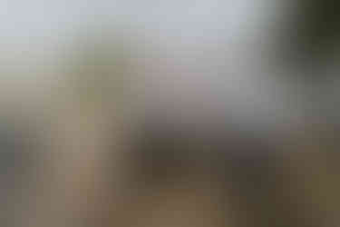 Groomsmen laughing and adjusting groom's jacket outdoors on wedding day.