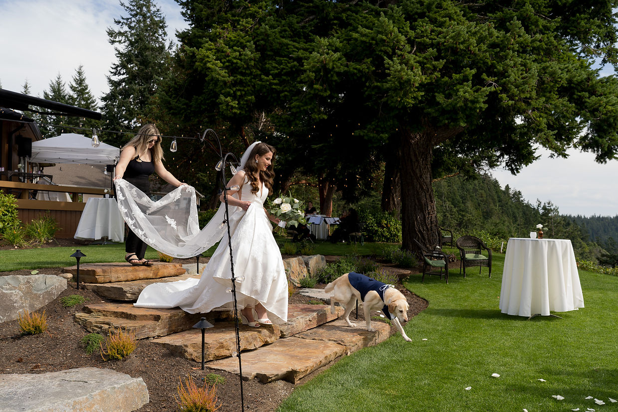 Bride, bridesmaid, and dog at a Seattle outdoor wedding