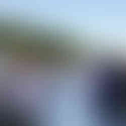 Bridal party and officiant at an outdoor farm wedding ceremony.