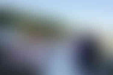 Bridal party and officiant at an outdoor farm wedding ceremony.