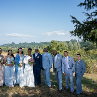 Wedding party poses outdoors: bride, groom, bridesmaids, groomsmen in sunny field.