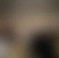 Guests raising glasses for a celebratory toast inside a lit tent.