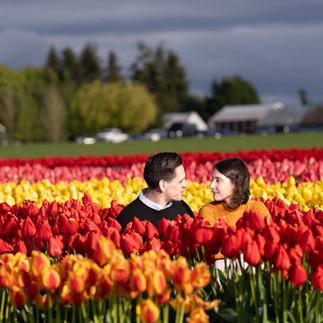 Couple in colorful tulip field, Skagit Tulip Festival
