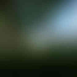 Couple kissing, surrounded by bouquets, Green Lake proposal