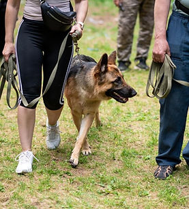 DOGGY BOSS animazione festa di compleanno per bambini a Milano.jpeg