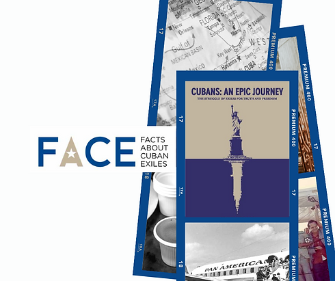 FACE Website thumb.png