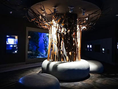 Fibrpro Project | Construction of FRP features, handrails, ladders, platforms, staircase, water tank to the Cube Oceanarium of Chengdu Jiaolong Port