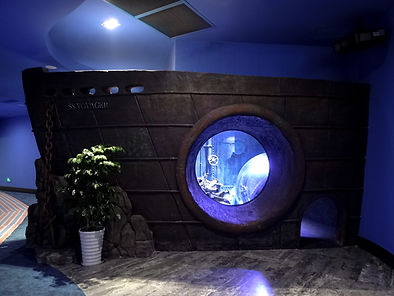 Fibrpro Project | Construction of FRP features, handrails, ladders, platforms, staircase, water tank to the Cube Oceanarium of Chengdu Jiaolong Port