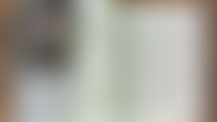 Die Freiheit zu reifen