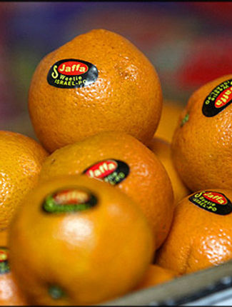 Oranges.jpg