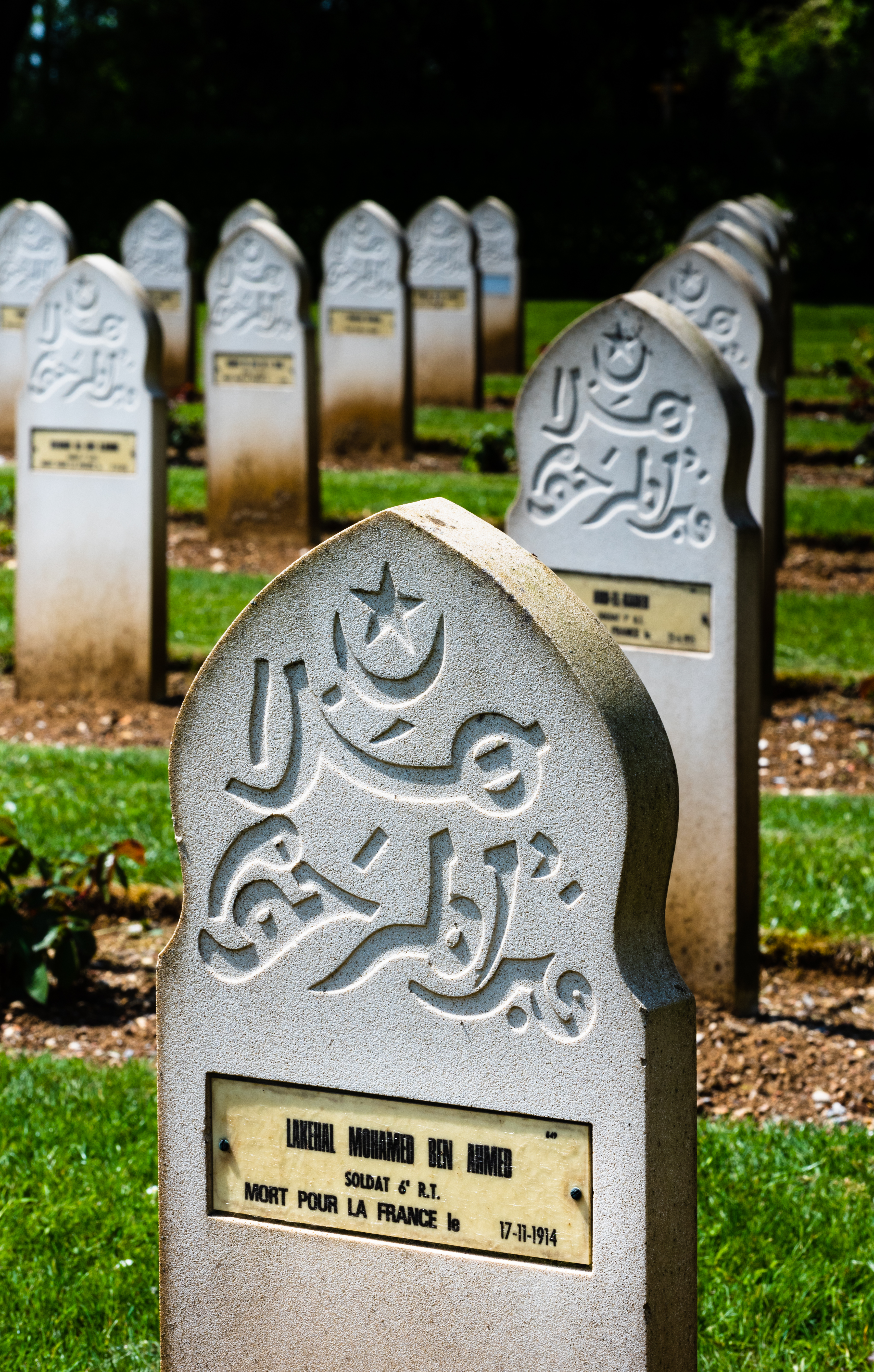 The forgotten heroes of WW1
