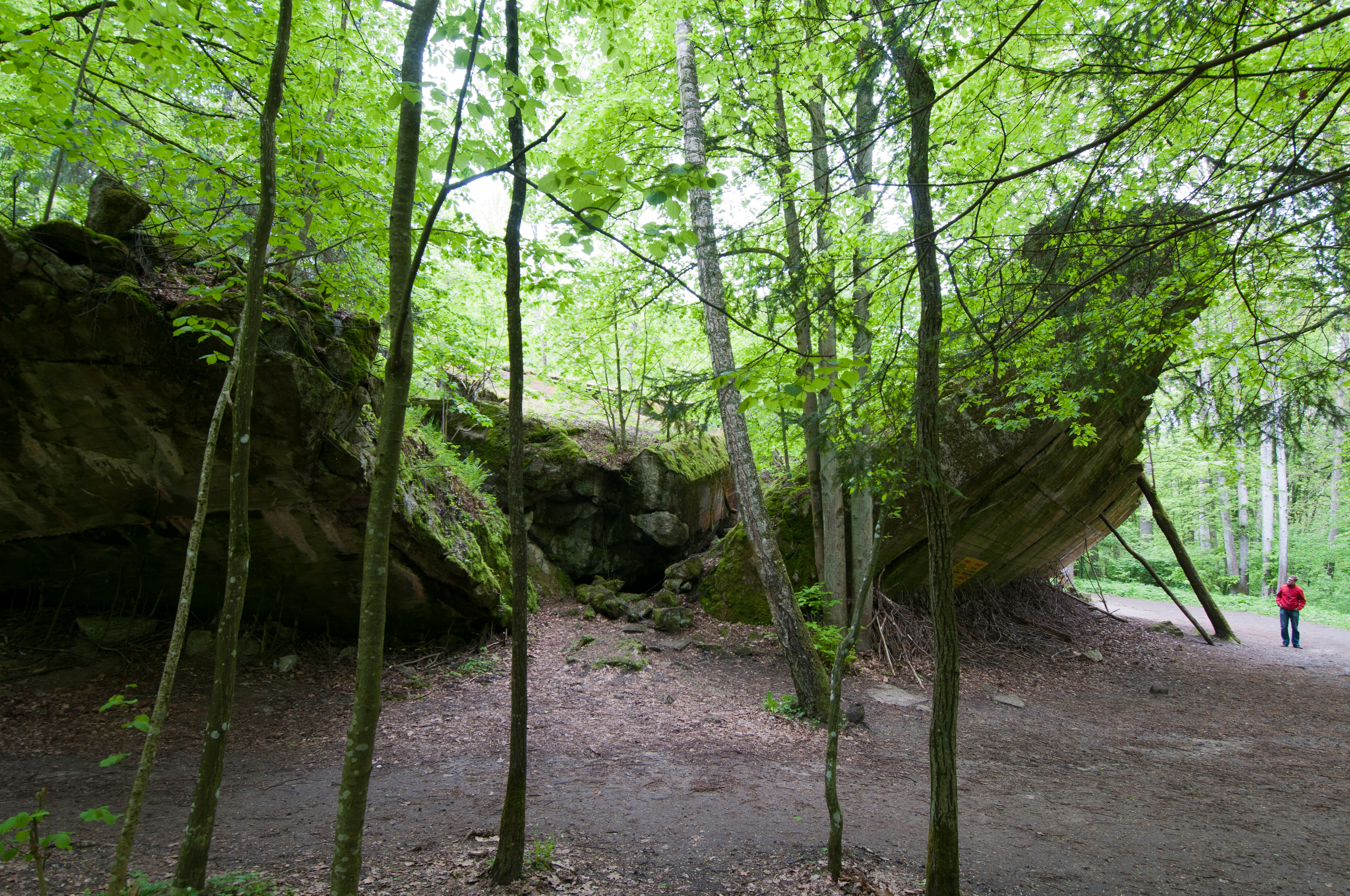 Wolf's Lair being redesigned