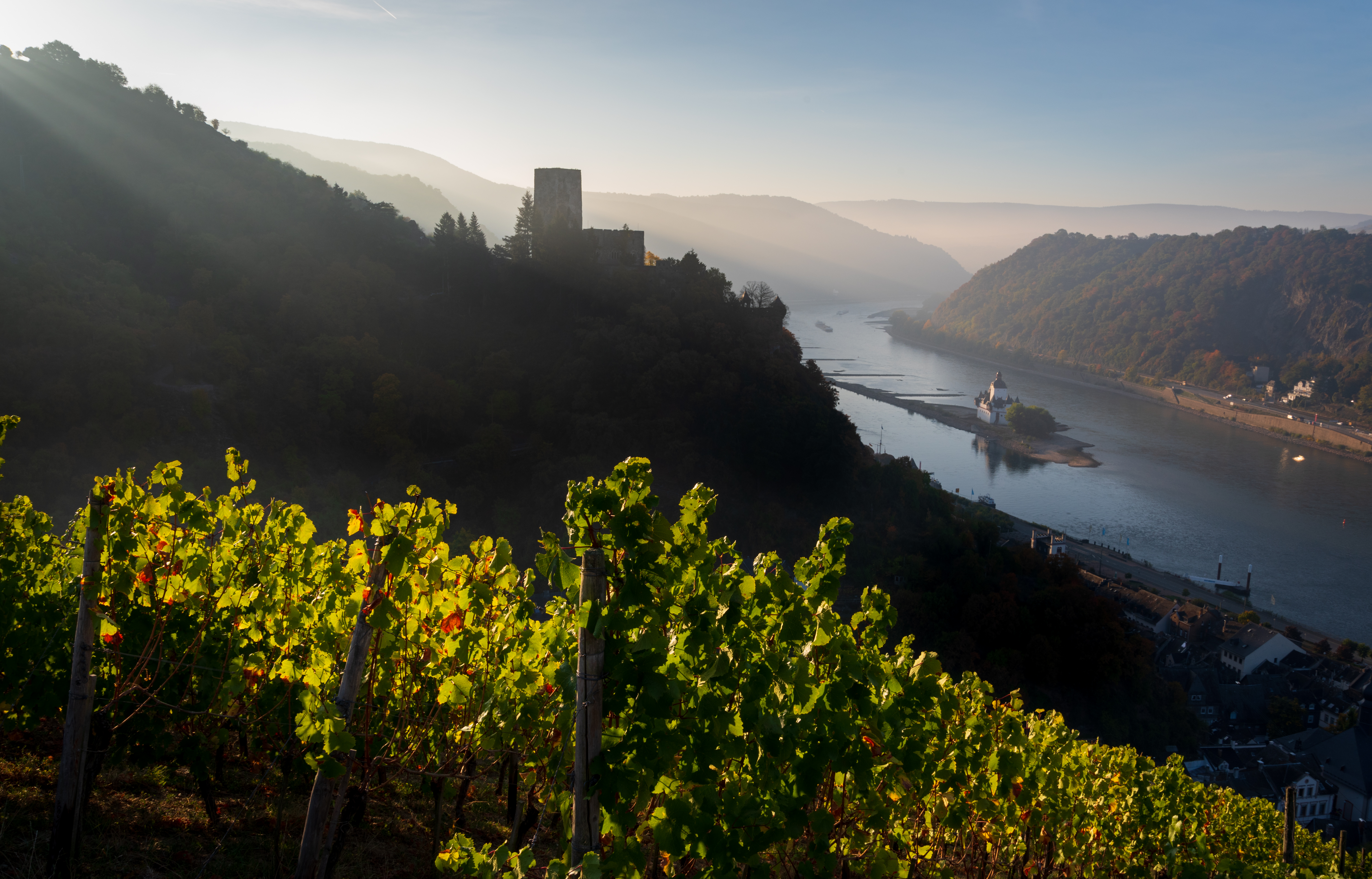 Rhine dawn