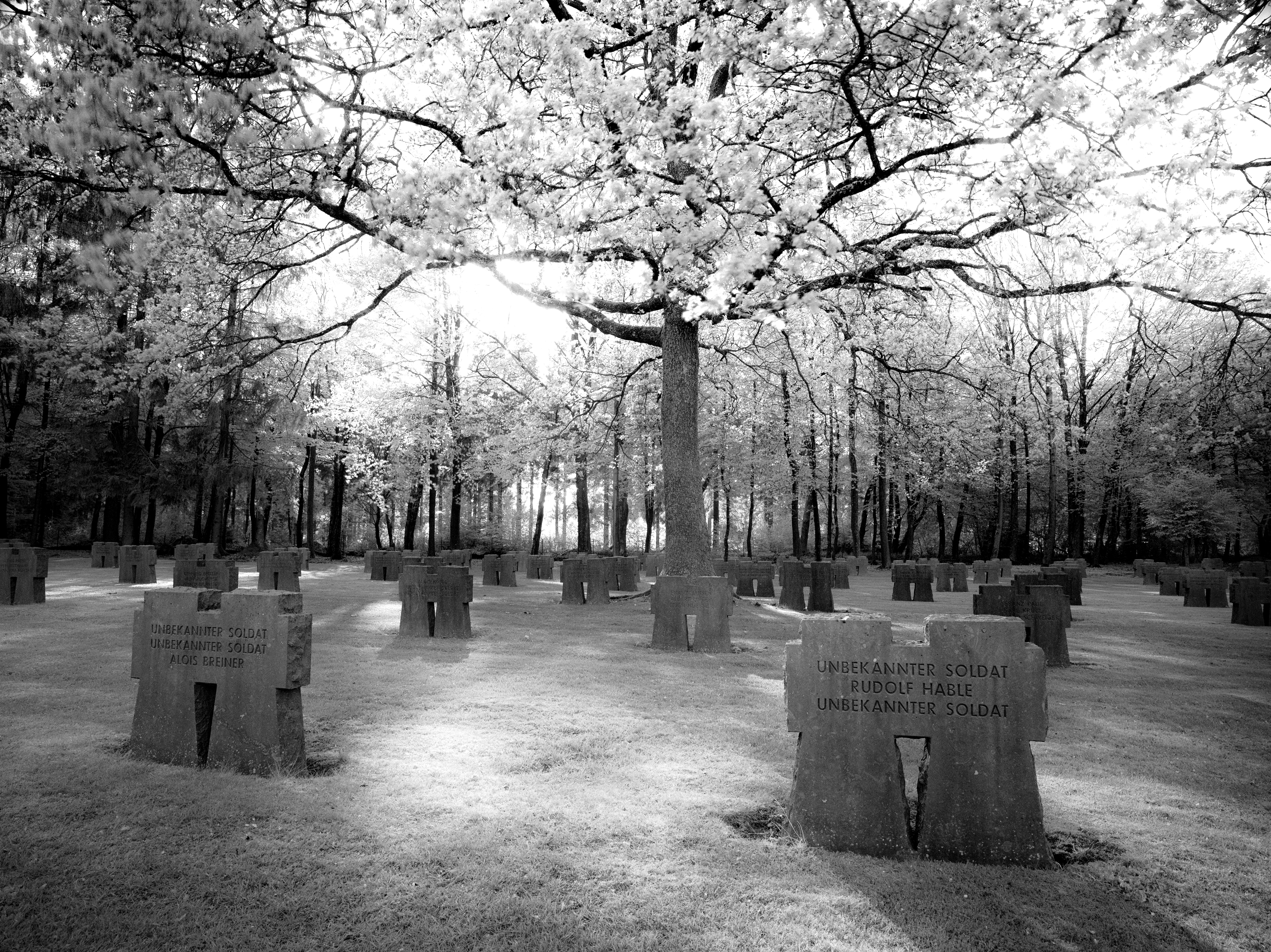 Hürtgen Forest Cemetery
