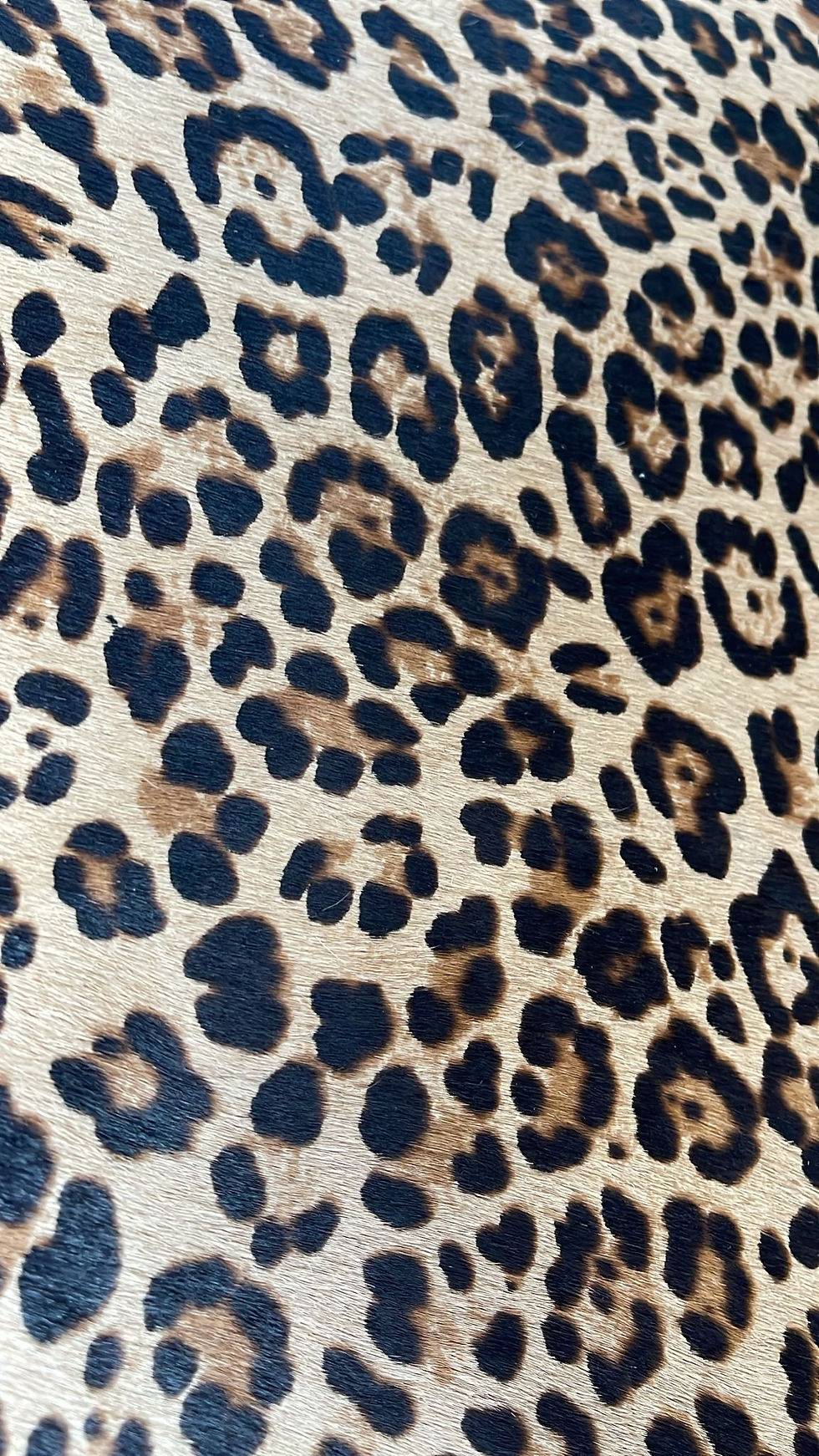 Thumbnail: Cavallino stamped Leopard lice  / cavallino stampato leopardo lice