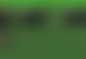 Personal Development Project - Blog Entry 6