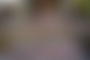 10 Life-Saving Tips for First-Time Travellers to Japan