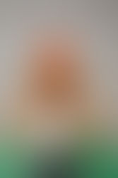 W Bellevue - A Colourful Oasis