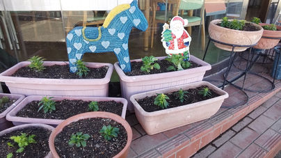 クリスマス飾り