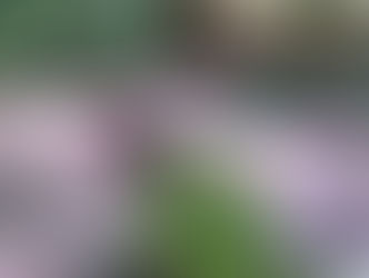 みんなで共有する