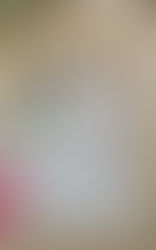 たくさんの書籍をいただきました