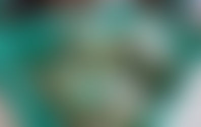 『明日葉』 おいしいよ!