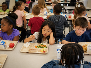 Food Waste in Schools: Causes, Effects, and Solutions