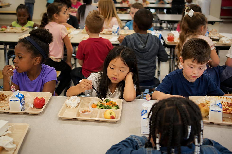 Food Waste in Schools: Causes, Effects, and Solutions