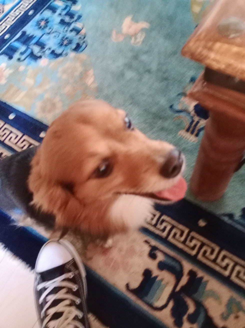 IMG_20250813_175526345