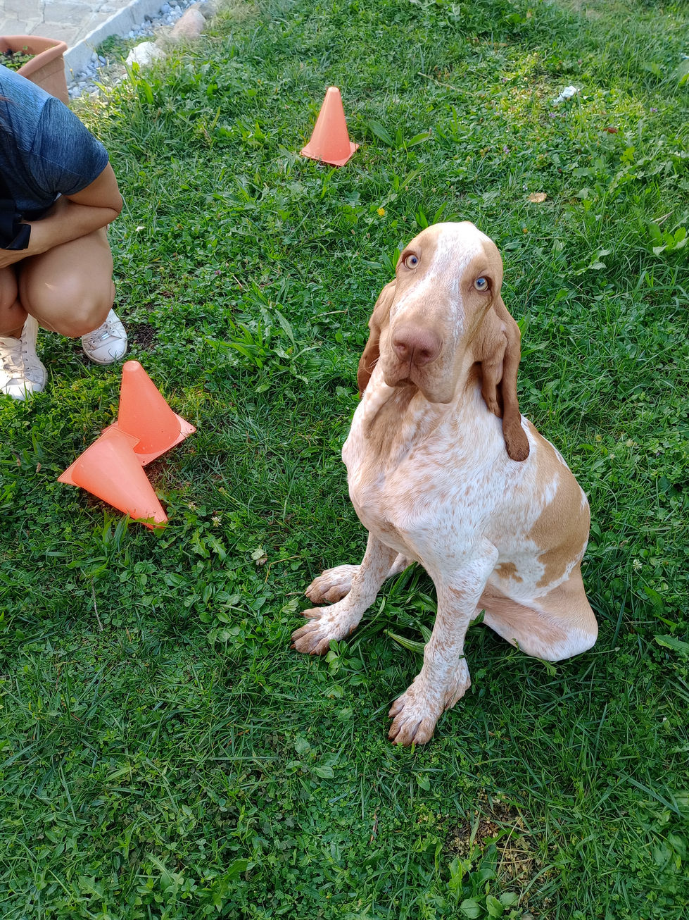 IMG_20250908_084828210