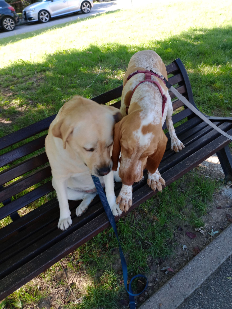 IMG_20250919_120110299