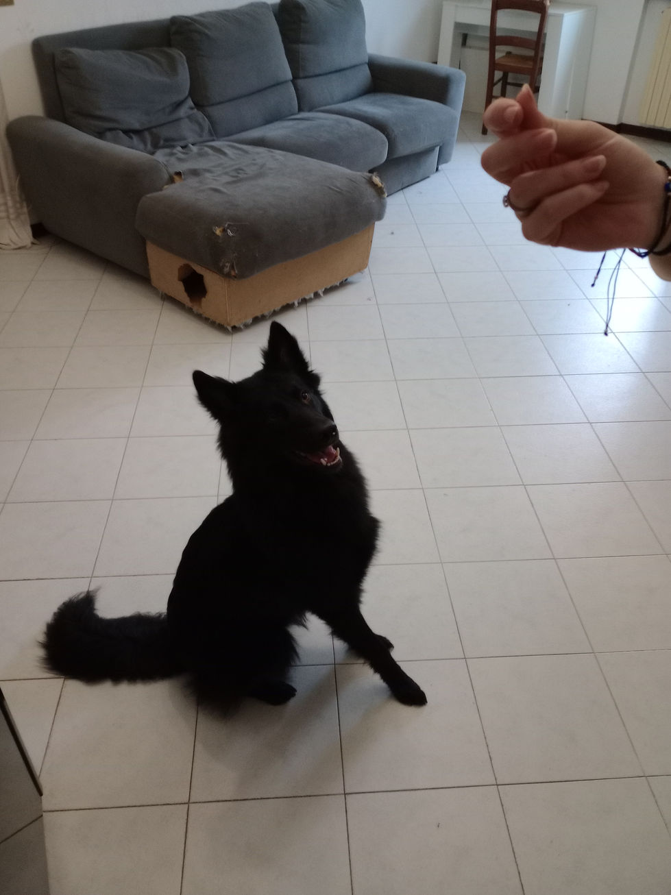 IMG_20251031_120700532