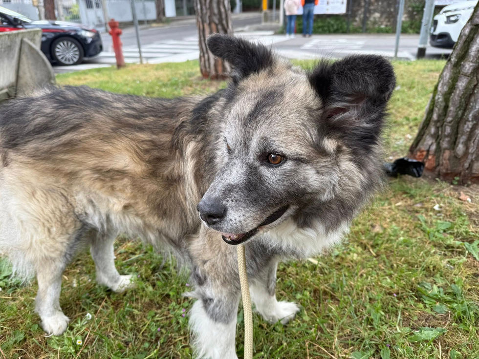 499732063_1205343354423332_3453752626578032523_n