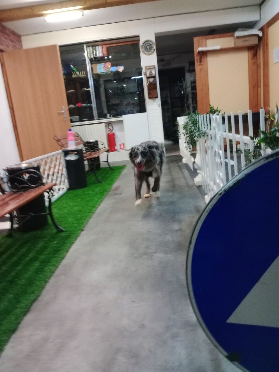 IMG_20260209_181319070