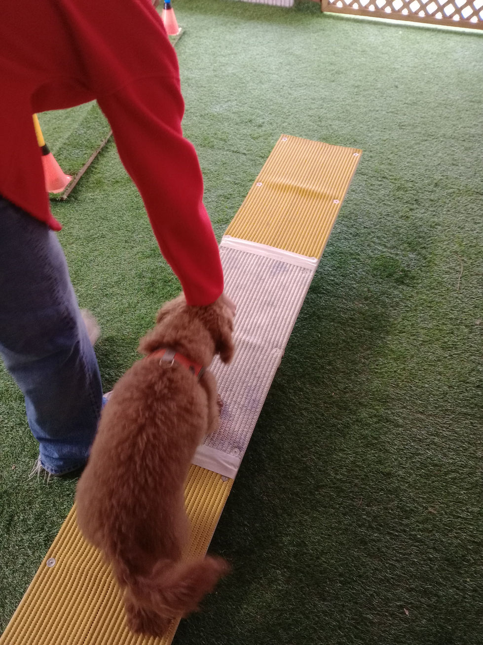 IMG_20260214_120008413