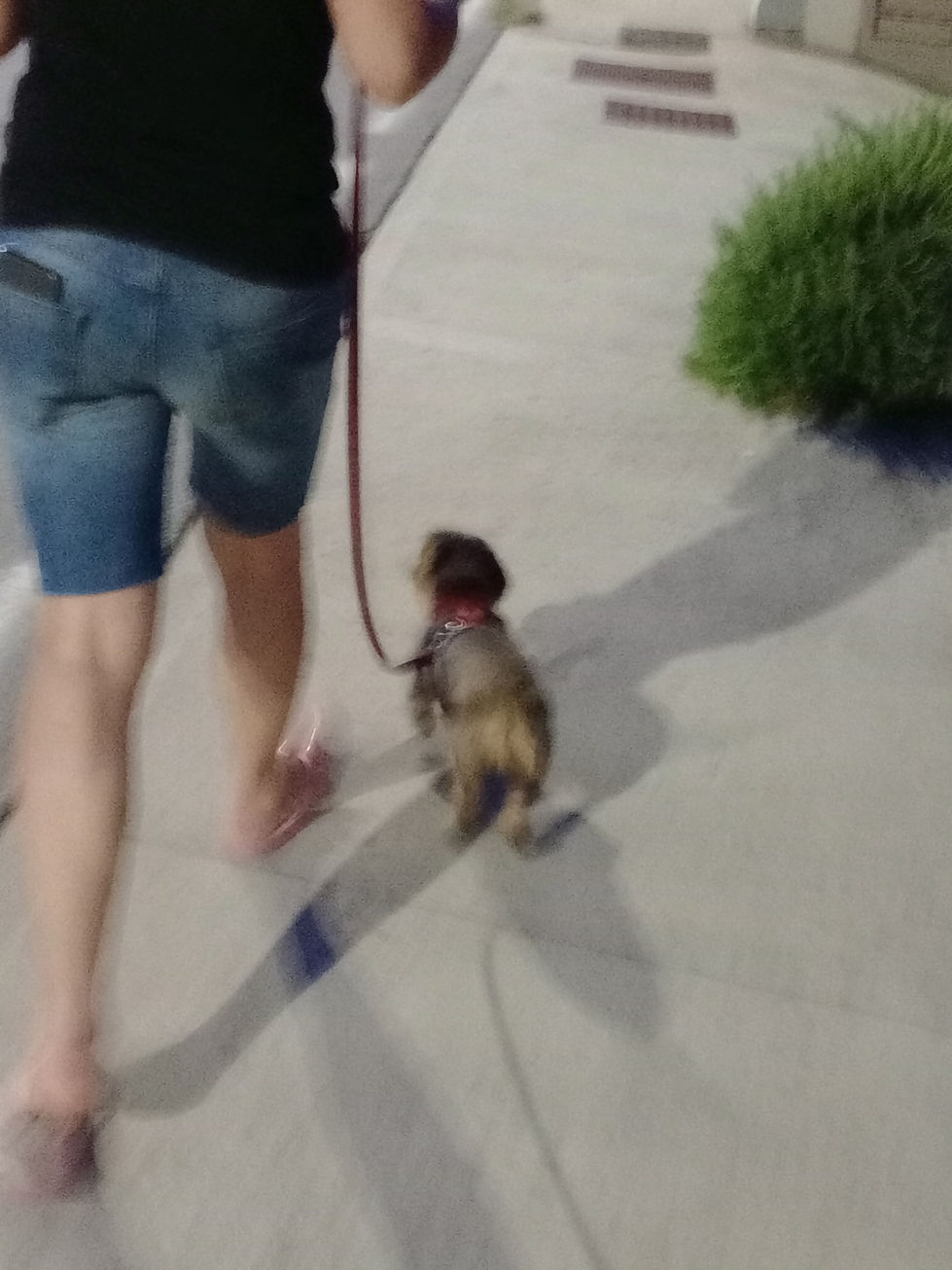 IMG_20250911_200621776