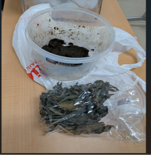 上越ＳＳＴ交流会　第５１回