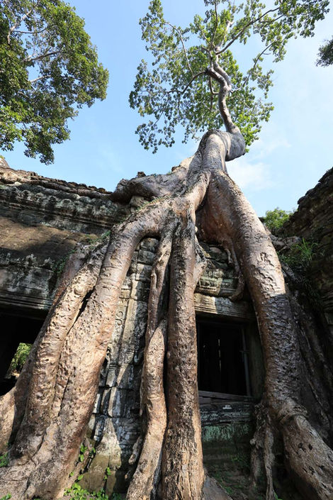 jinphotographicsworld