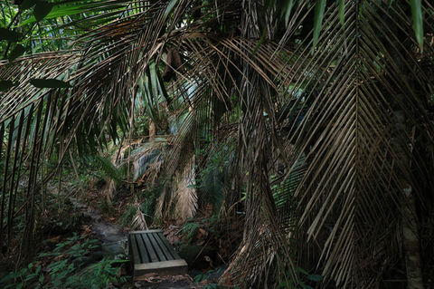 jinphotographicsworld