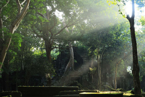 jinphotographicsworld