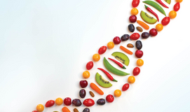 Is There a Role for N-of-1 Trials in Nutrition Research?
