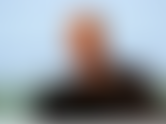 An Interview with Professor Nicholas Schork, Thought Leader in the Field of Single-Case Designs