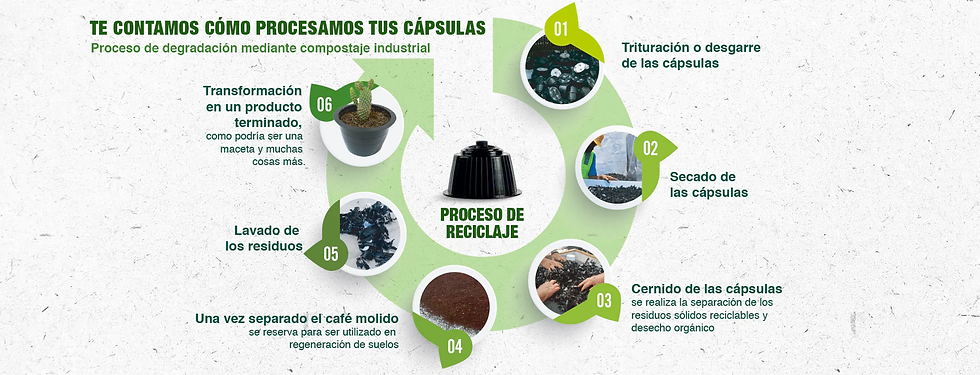 Imagen ilustrativa del procesamiento de capsulas