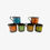 Miniature : Série de 6 mugs vintages Staffordshire