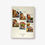 Miniature : Livre "L'histoire de ... Rataplan le lapin"
