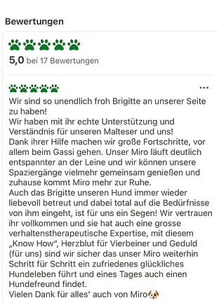 Bewertung Miro.jpg