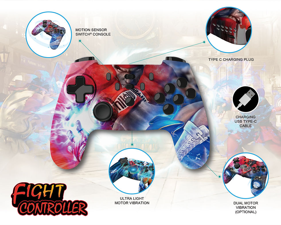 縮圖：FIGHT CONTROLLER