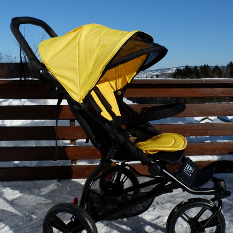 Mountain Buggy Mini